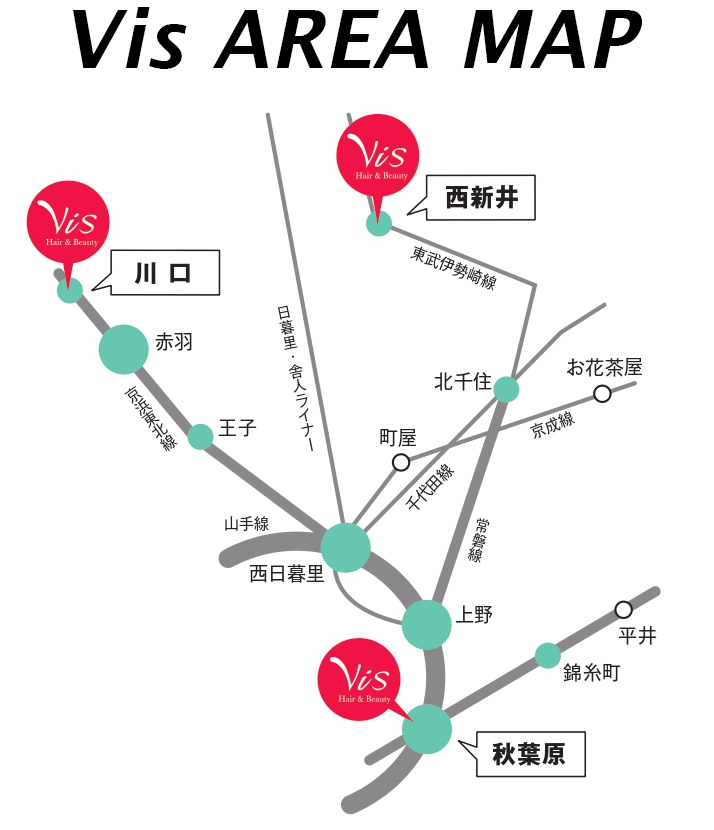 会社概要 公式 美容室 美容師の求人 都内の人気エリアに展開するvis ビス 採用情報